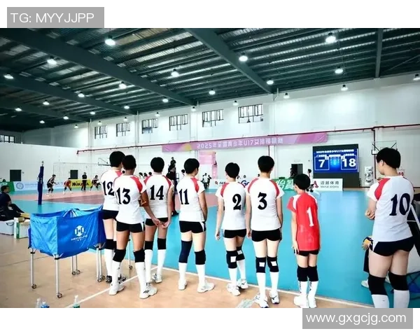 上海排球队的精神之旅：探索排球背后的团队意识与文化魅力