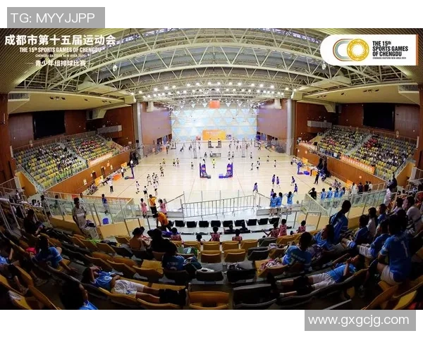 成都排球队在杯赛中的技术表现分析与点评